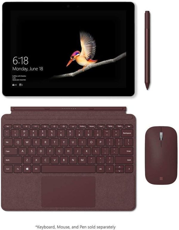 Microsoft Surface Go (Intel Pentium Gold, 4GB RAM, 64GB)