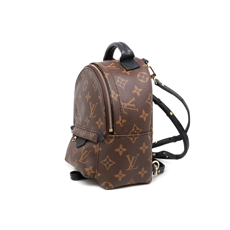 Louis Vuitton Monogram Palm Springs Brown Mini Backpack