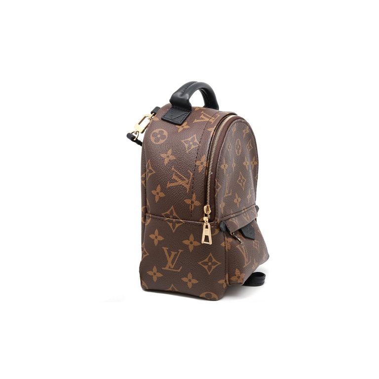 Louis Vuitton Monogram Palm Springs Brown Mini Backpack